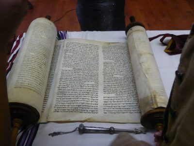 Torah Study – Shmini