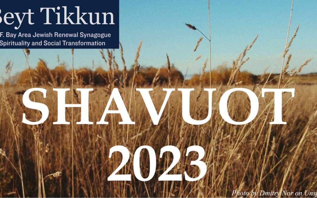 Torah Study – Shavuot