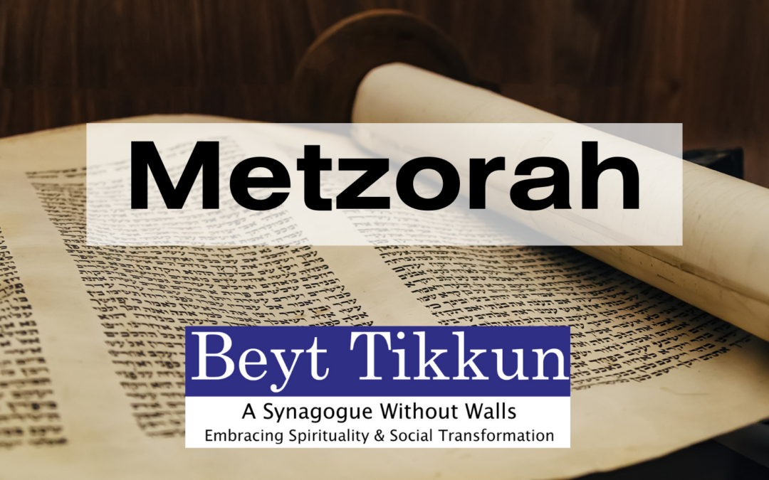 Torah Study | Metzora 5784