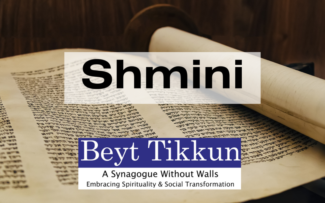 Torah Study | Tzav & Shmini