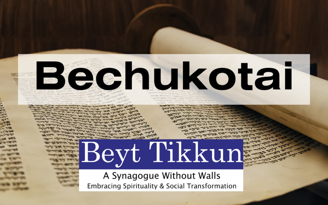 Torah Study | Bechukotai 5784