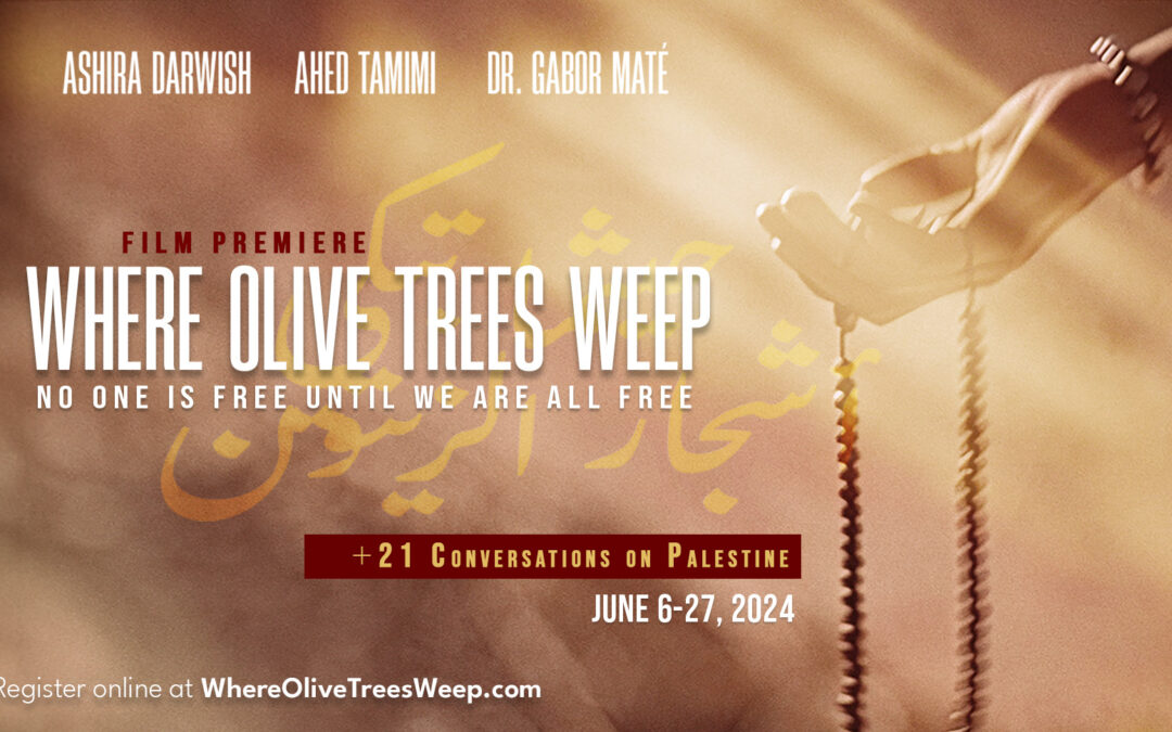 Where the Olive Trees Weep: Discussion with Ashira Darwish