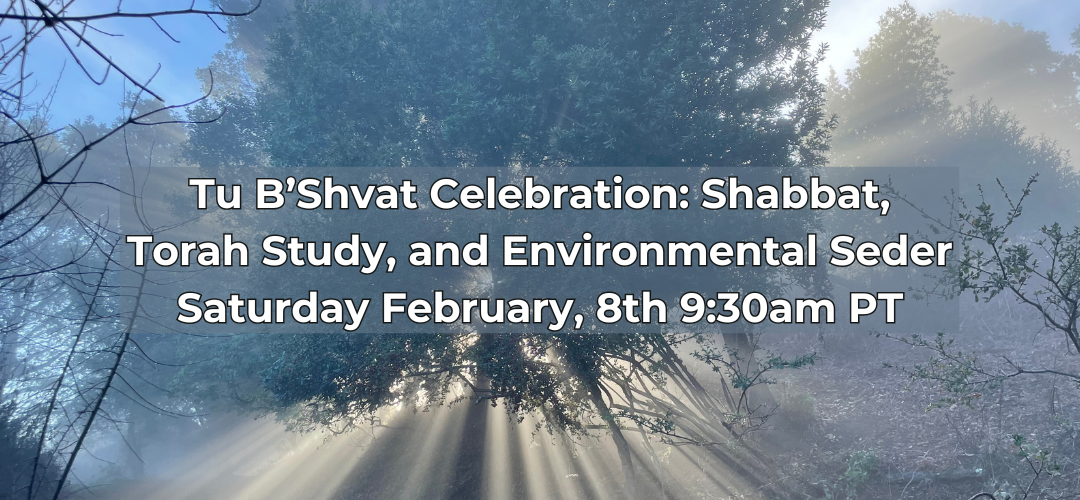 Tu B’Shvat Celebration: Shabbat, Torah Study, and Environmental Seder