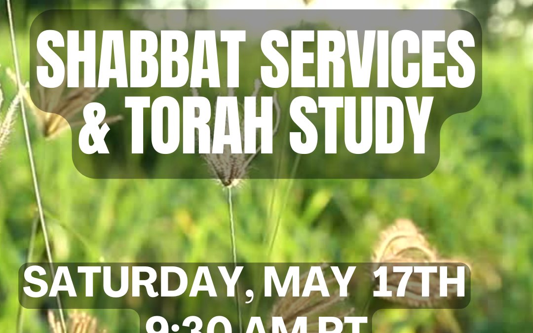 NO Shabbat Service & Torah Study