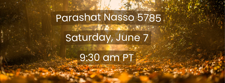 Shabbat Service & Torah Study | Nasso
