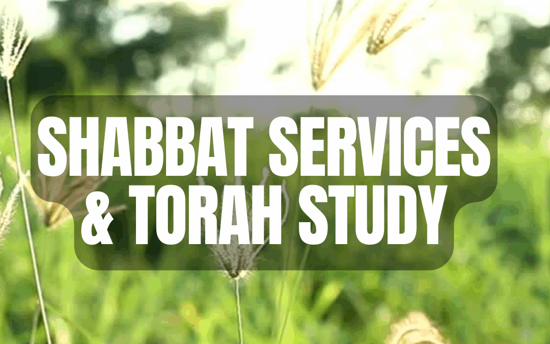 Shabbat Service & Torah Study | Sh’lach