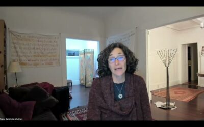 Rabbi Cat’s musings on parsha Miketz 5785