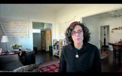 Rabbi Cat’s musings on parsha Vayechi 5785