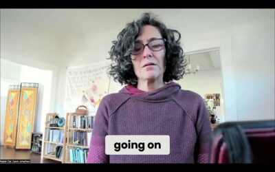 Rabbi Cat’s musings on parsha Vayishlach 5785