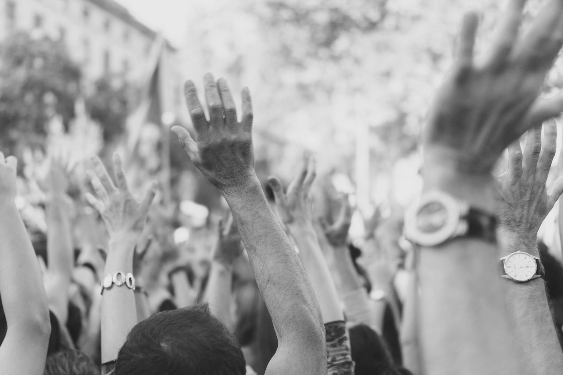 Weekly Action for Peace: Stop Starvation in Gaza, Defend Umm Al Kheir, and Mobilize for Justice