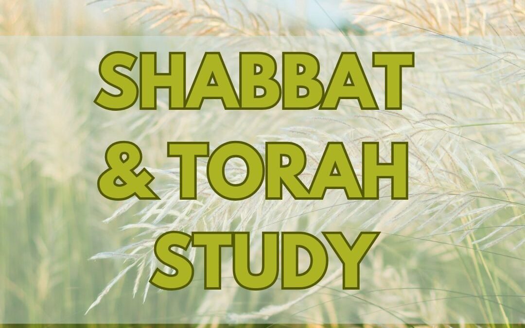Shabbat Service & Torah Study w/ Rabbi Cat | Parsha Terumah  (HYBRID)