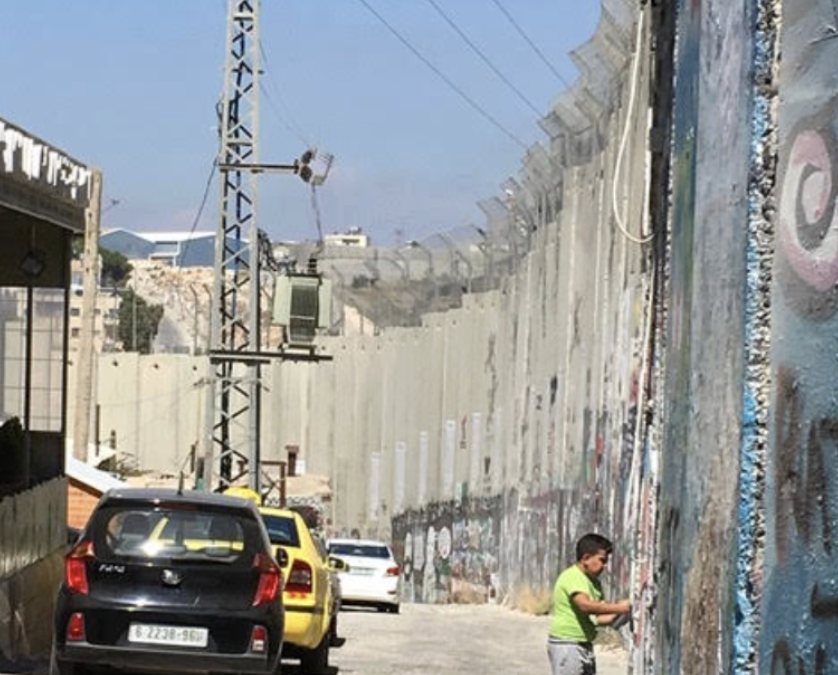 The Path to Ecological Justice Travels Through a Free Palestine with Gopal Dayaneni (ONLINE)