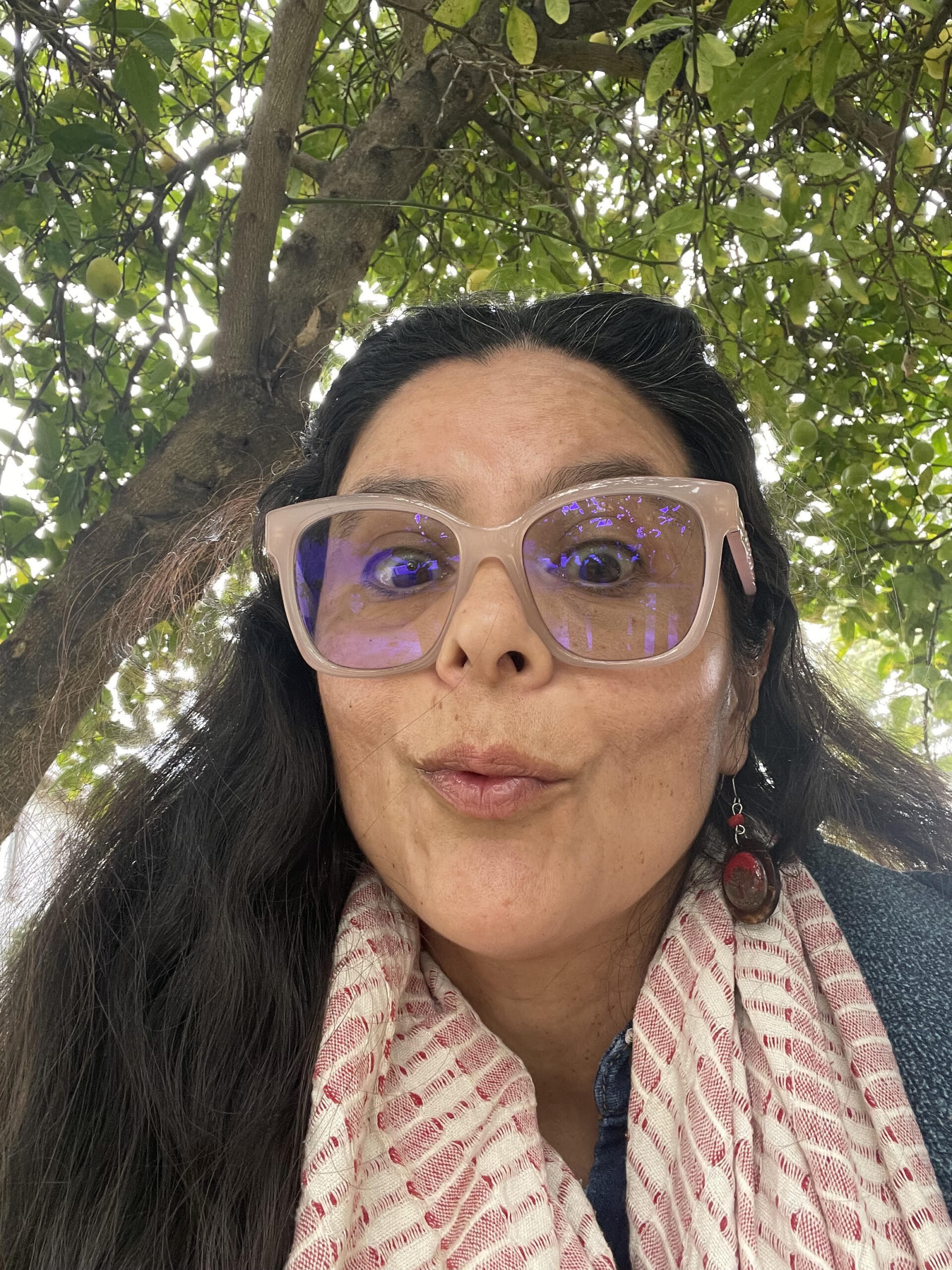 Patricia Contreras Flores she/they