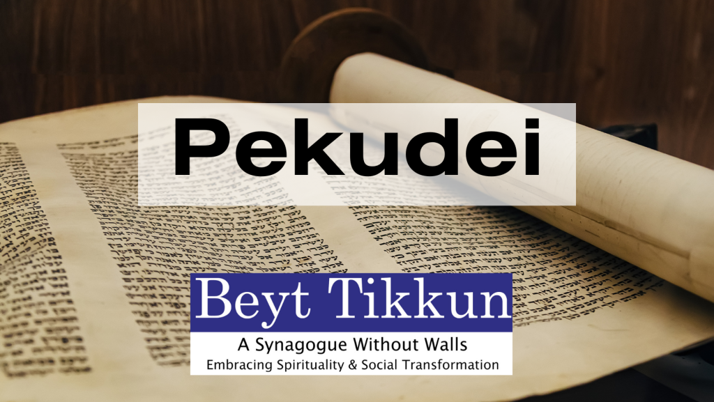 Torah Study | Pekudei 5784 - Beyt Tikkun