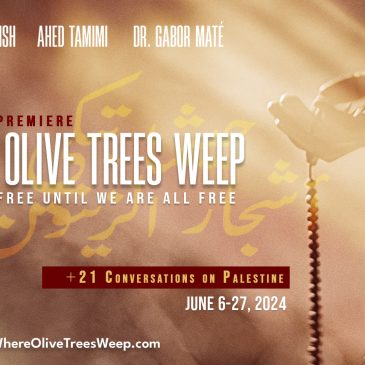 Where the Olive Trees Weep: Discussion with Ashira Darwish