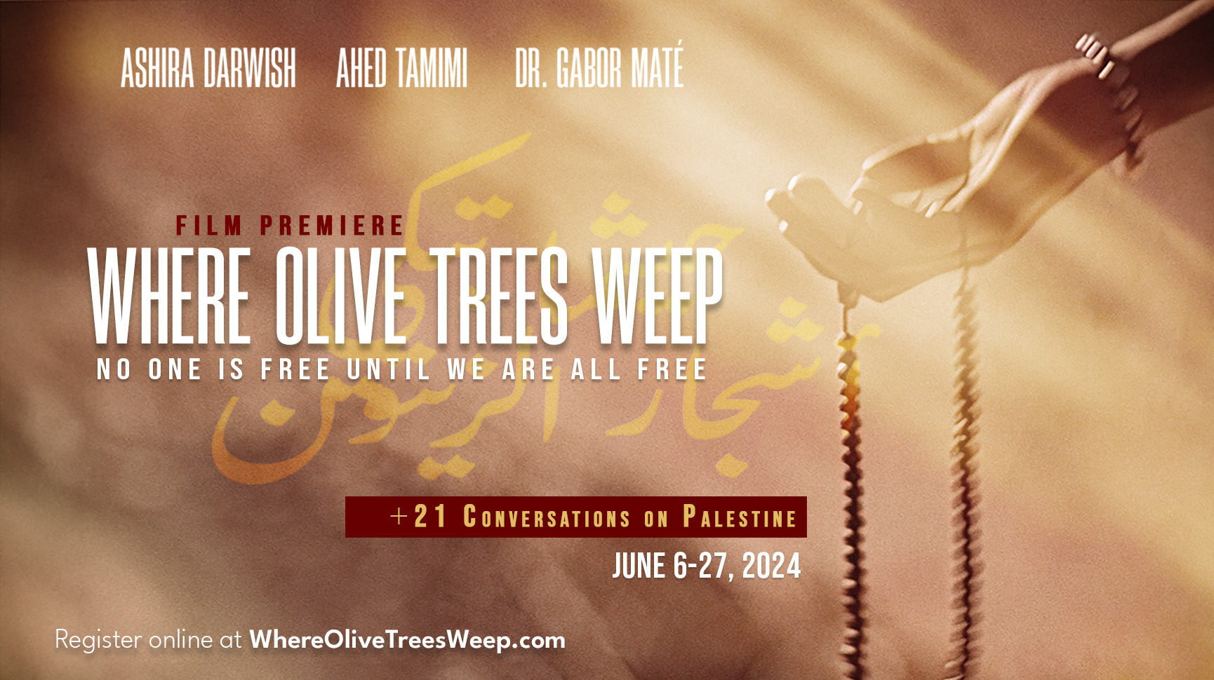 Where the Olive Trees Weep: Discussion with Ashira Darwish